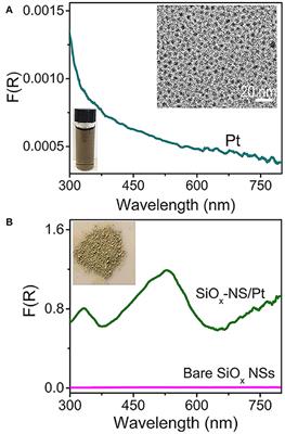 Geometric Symmetry of Dielectric Antenna Influencing Light Absorption in Quantum-Sized Metal Nanocrystals: A Comparative Study